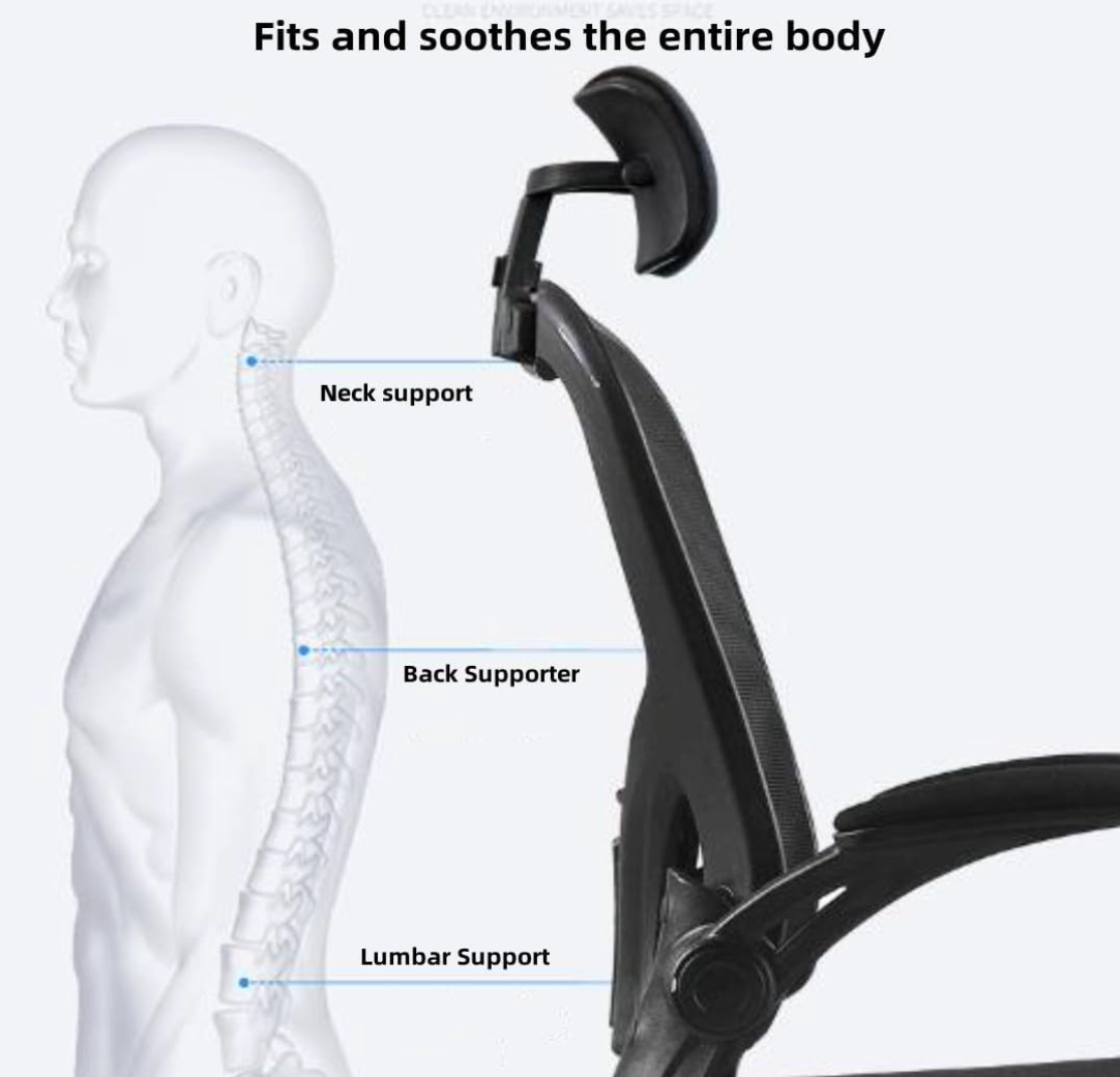 Ergonomic Office Chair